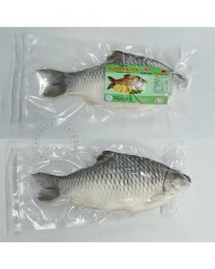 SILVERBARB 