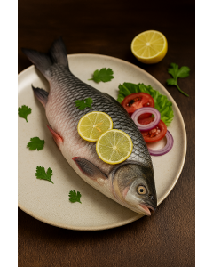 ROHU FISH  800/UP