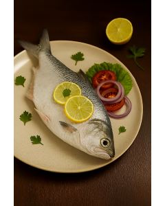 HILSA FISH