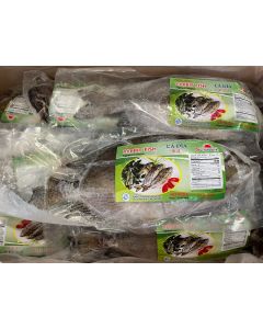 RABBIT FISH