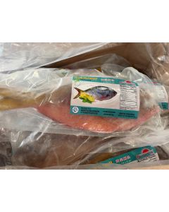 Yellowtail Fusilier 