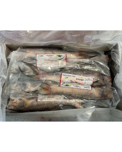THREADFIN FISH (LAKKHA)
