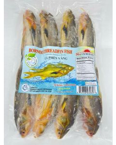 BORNEO THREADFIN FISH