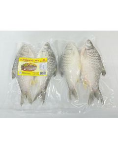 SILVERBARB W/R