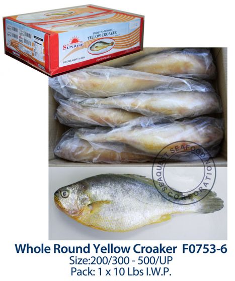 yellow_croaker_f0753_6.jpg