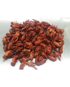 CRAWFISH SEASONED WR