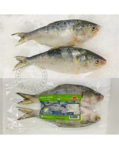 HILSA FISH 400/600g