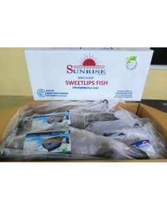 SWEETLIPS FISH