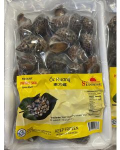 PERIWINKLE SNAIL - RETAIL PACK