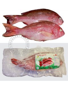 CRIMSON SNAPPER