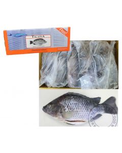 TILAPIA G&S (THAILAND)