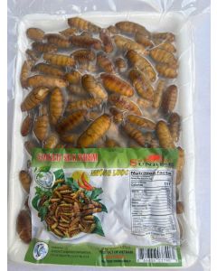 SILK WORM